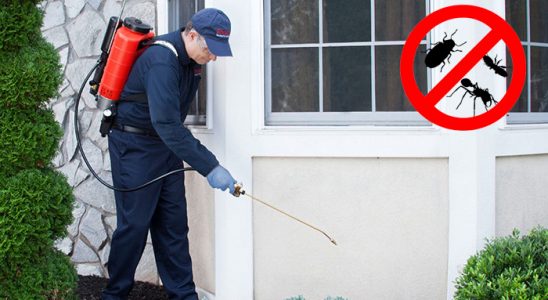 Kadışehri Kemirgen İlaçlama böcek ilaçlama ve haşere kontrolü — ilaclama-tr.com